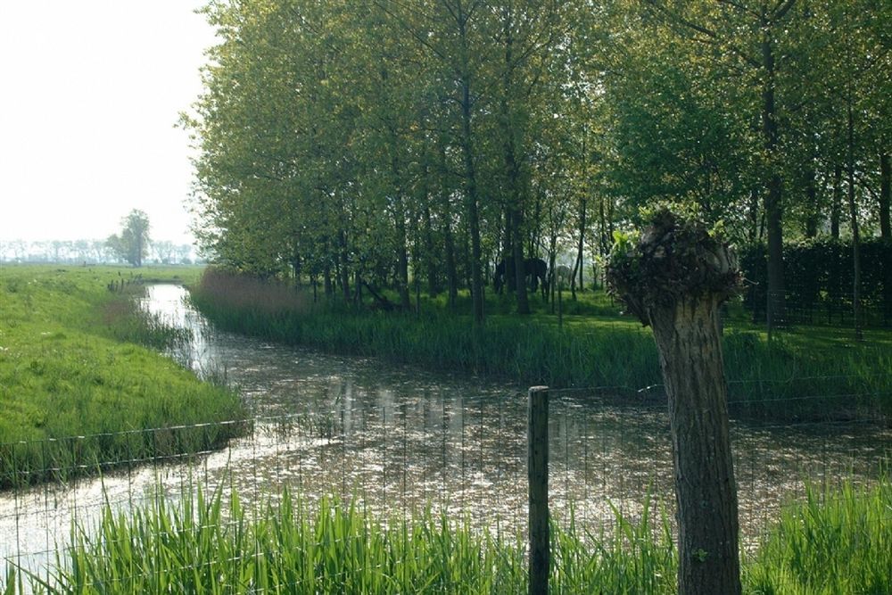 B&B Pronkenburg Bruges Esterno foto